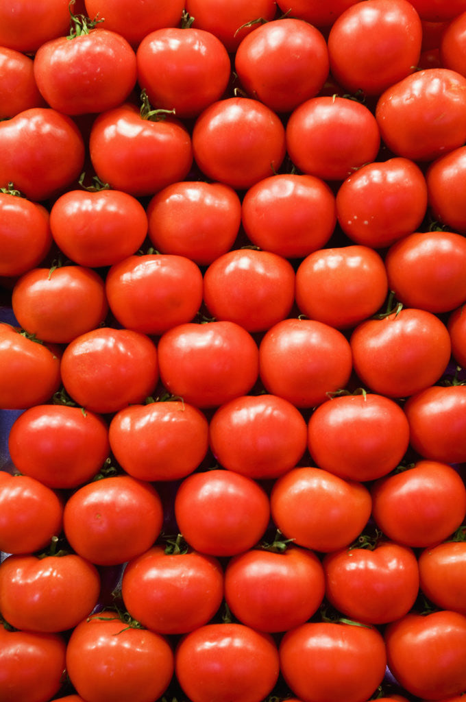 Detail of Tomatoes at Boqueria Market in Barcelona by Anonymous