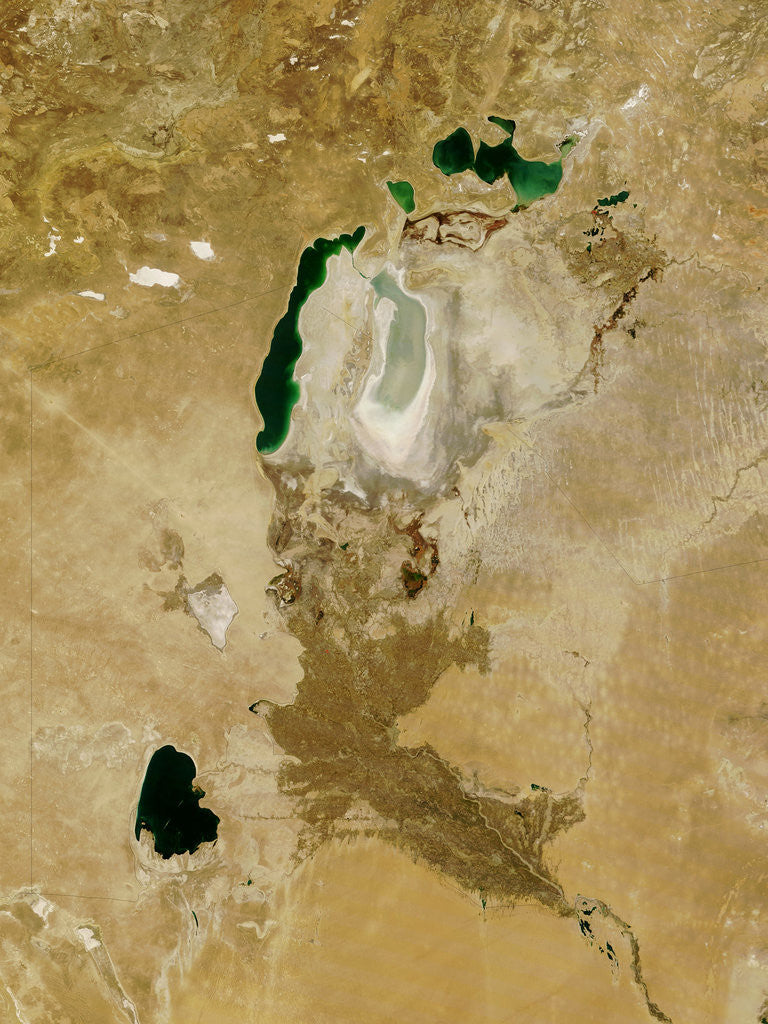 Detail of Low Earth Orbit View of the Aral Sea by Anonymous