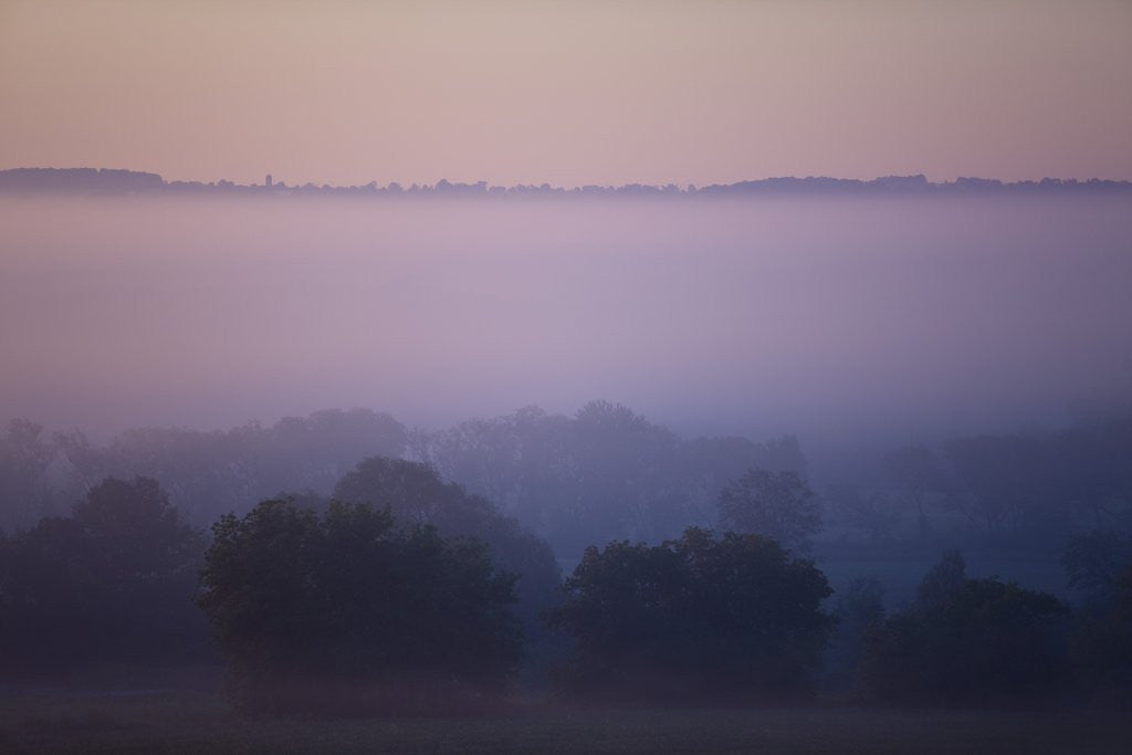 Detail of Early Morning Mist by Anonymous