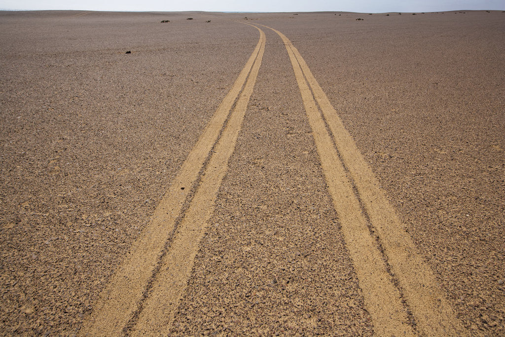 Detail of Tire Tracks on the Skeleton Coast by Anonymous