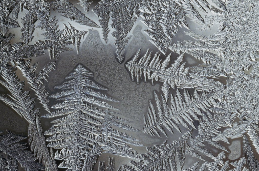 Detail of Ice crystals by Corbis