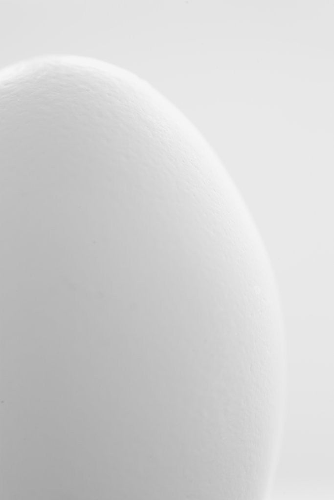 Detail of White egg by Anonymous