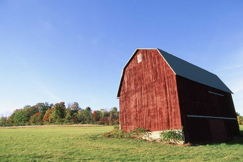 Detail of Barn in a field by Anonymous