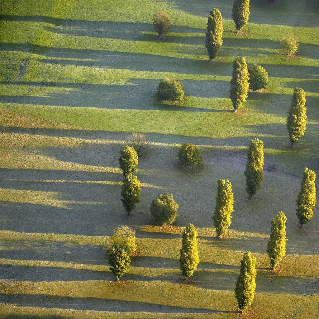Detail of Rhineland, Germany by Anonymous