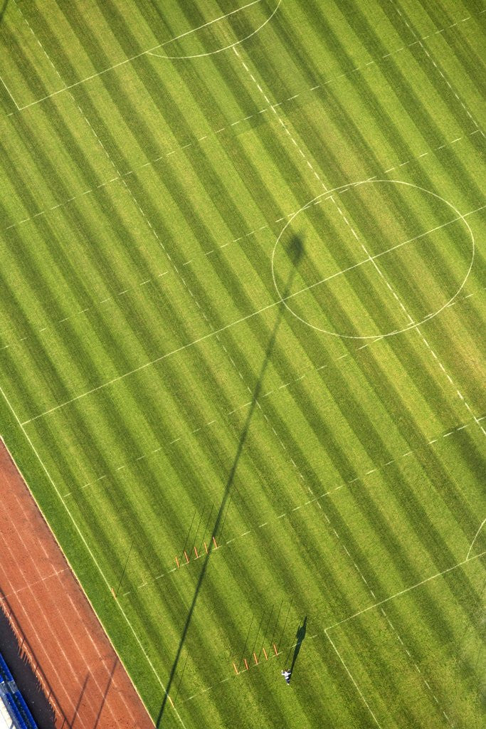 Detail of Soccer field by Anonymous