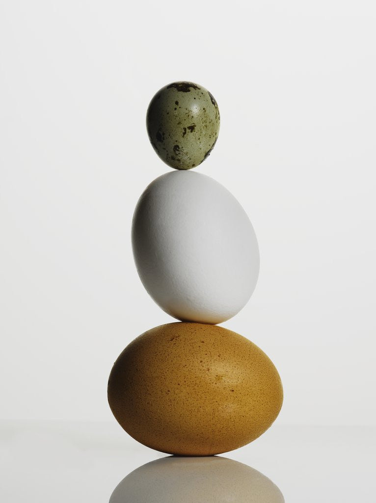 Detail of Quail and chicken eggs by Corbis