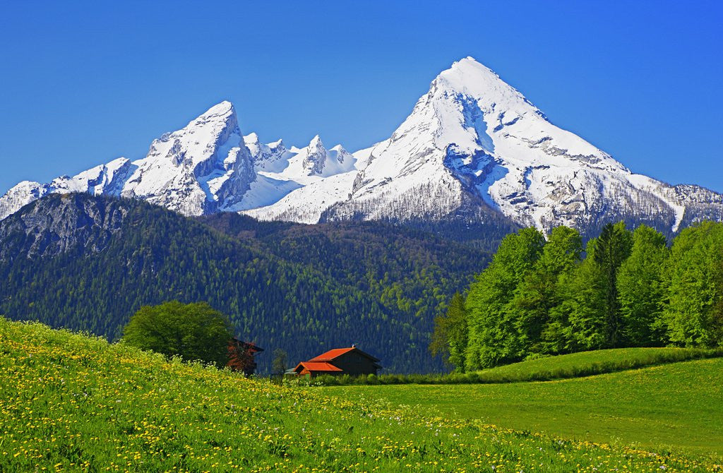 Detail of Cabin Below Watzmann Mountain in Bavarian Alps by Anonymous
