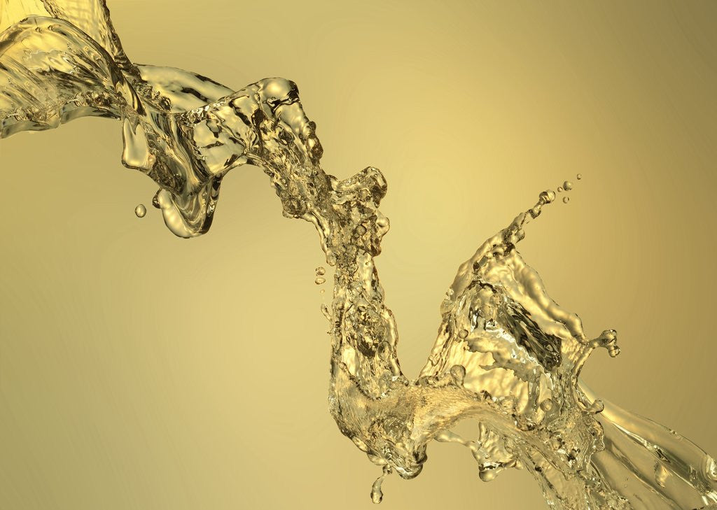 Detail of Abstract Shape Formed by Splashing Water by Anonymous