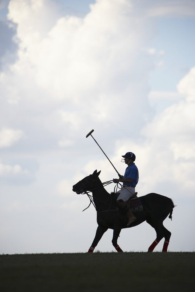 Detail of Polo player riding polo pony by Anonymous