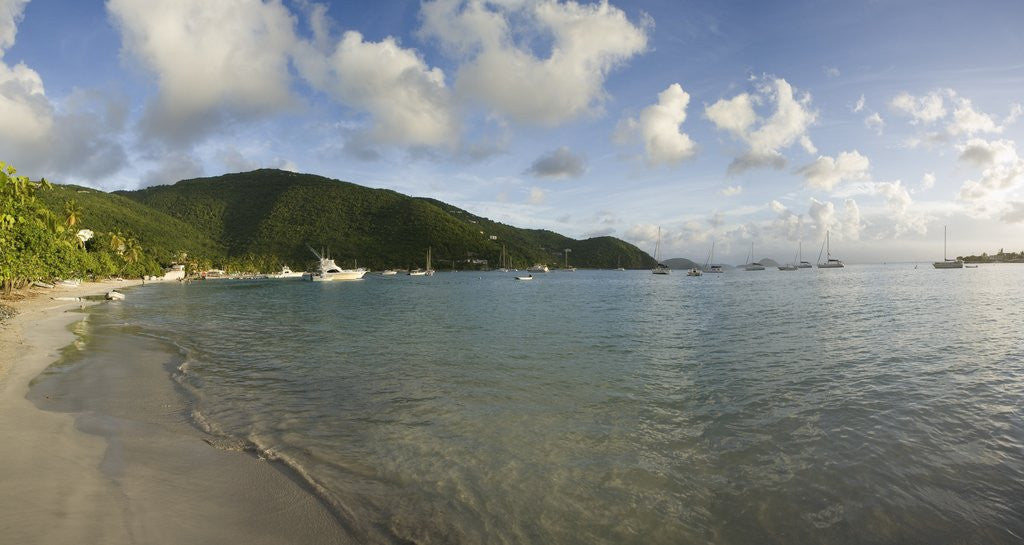Detail of Cane Garden Bay, Tortola, British Virgin Islands by Anonymous