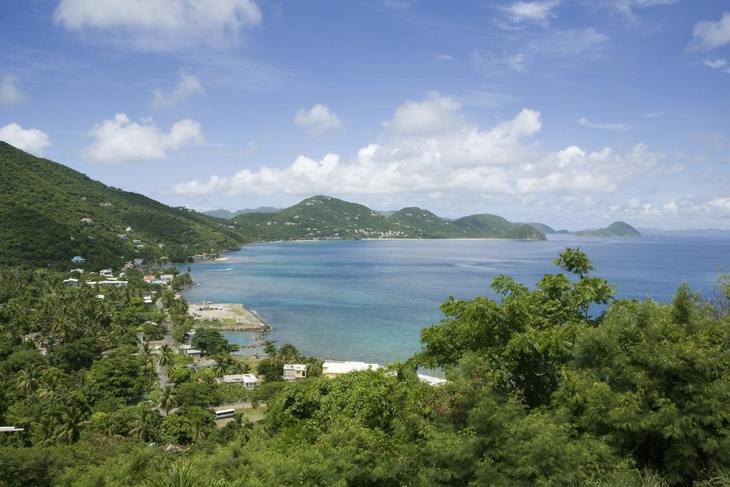 Detail of Carrot Bay, Tortola, British Virgin Islands by Anonymous