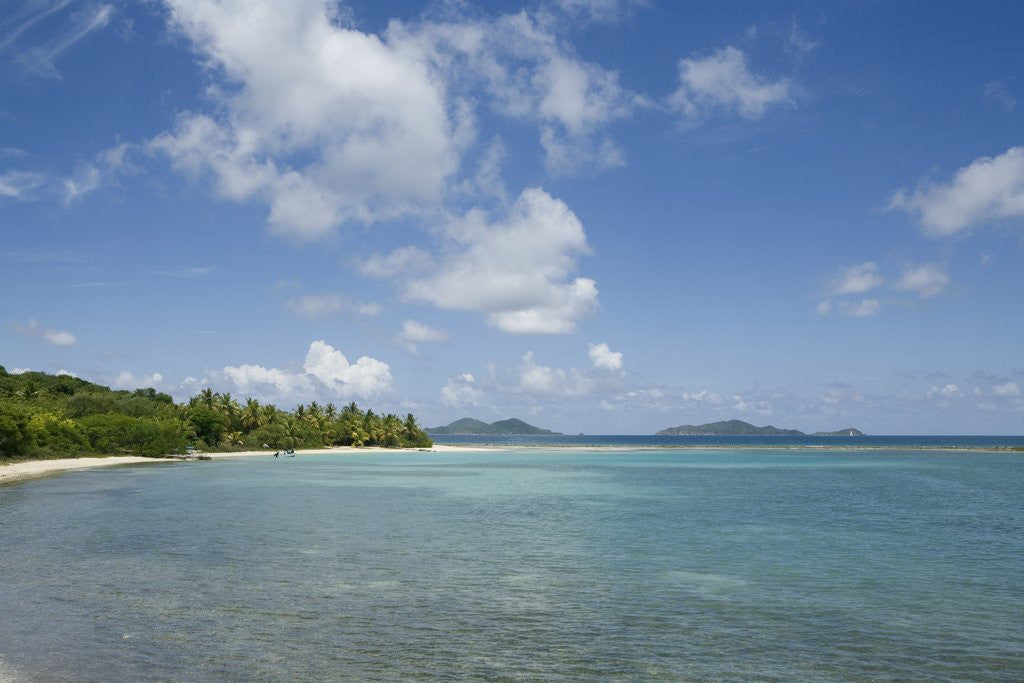 Detail of Beach at Well Bay, Beef Island, Tortola, British Virgin Islands by Anonymous