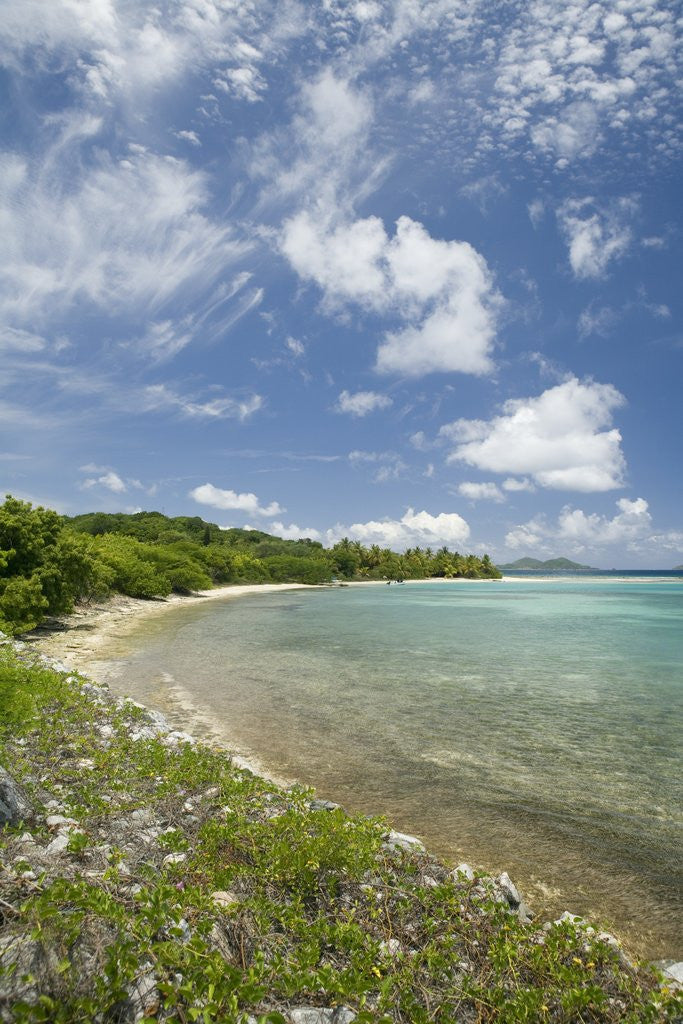 Detail of Beach at Well Bay, Beef Island, Tortola, British Virgin Islands by Anonymous