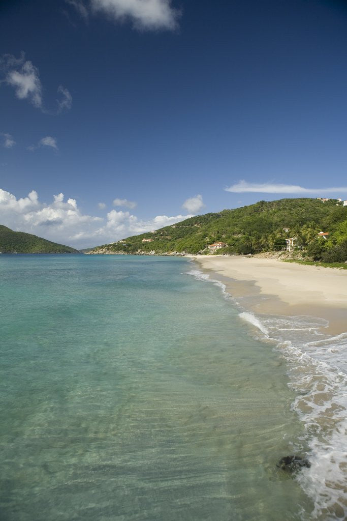 Detail of Lambert Beach, Tortola, British Virgin Islands by Anonymous