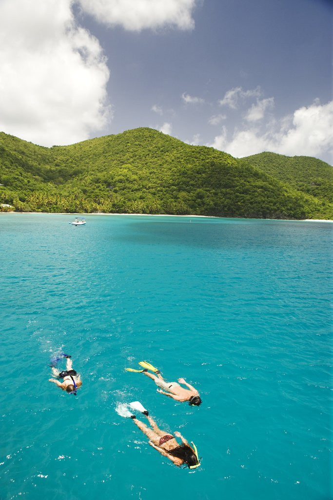 Detail of Snorkeling in Hawksnest Bay at St. John Island by Anonymous