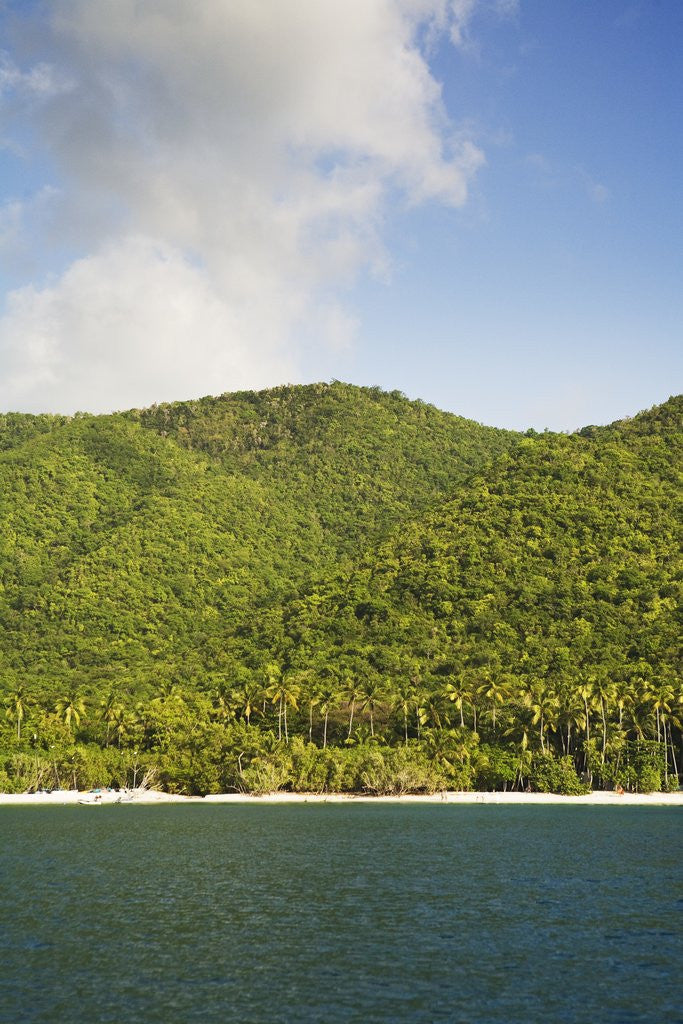 Detail of Cinnamon Bay by Anonymous