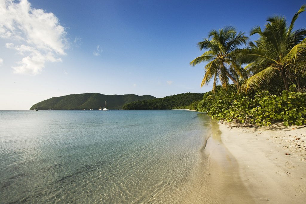 Detail of Maho Bay Beach by Anonymous