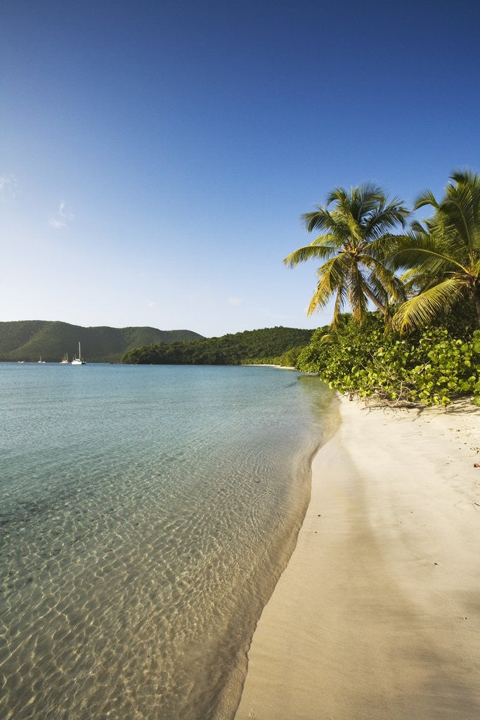 Detail of Beach on Maho Bay by Anonymous