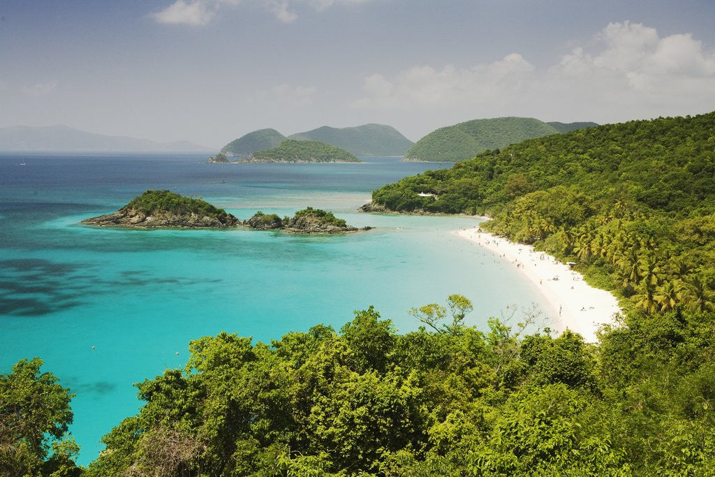 Detail of Trunk Bay at St. John Island in U. S. Virgin Islands by Anonymous