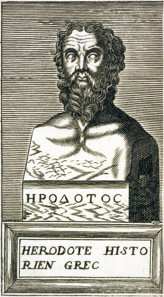 Detail of Portrait of Herodotus by Andre Thevet