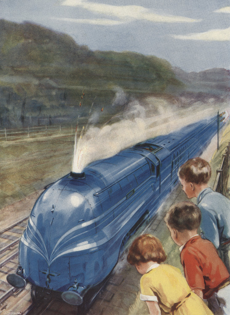 Detail of Coronation Scot by F.T. Steerwood