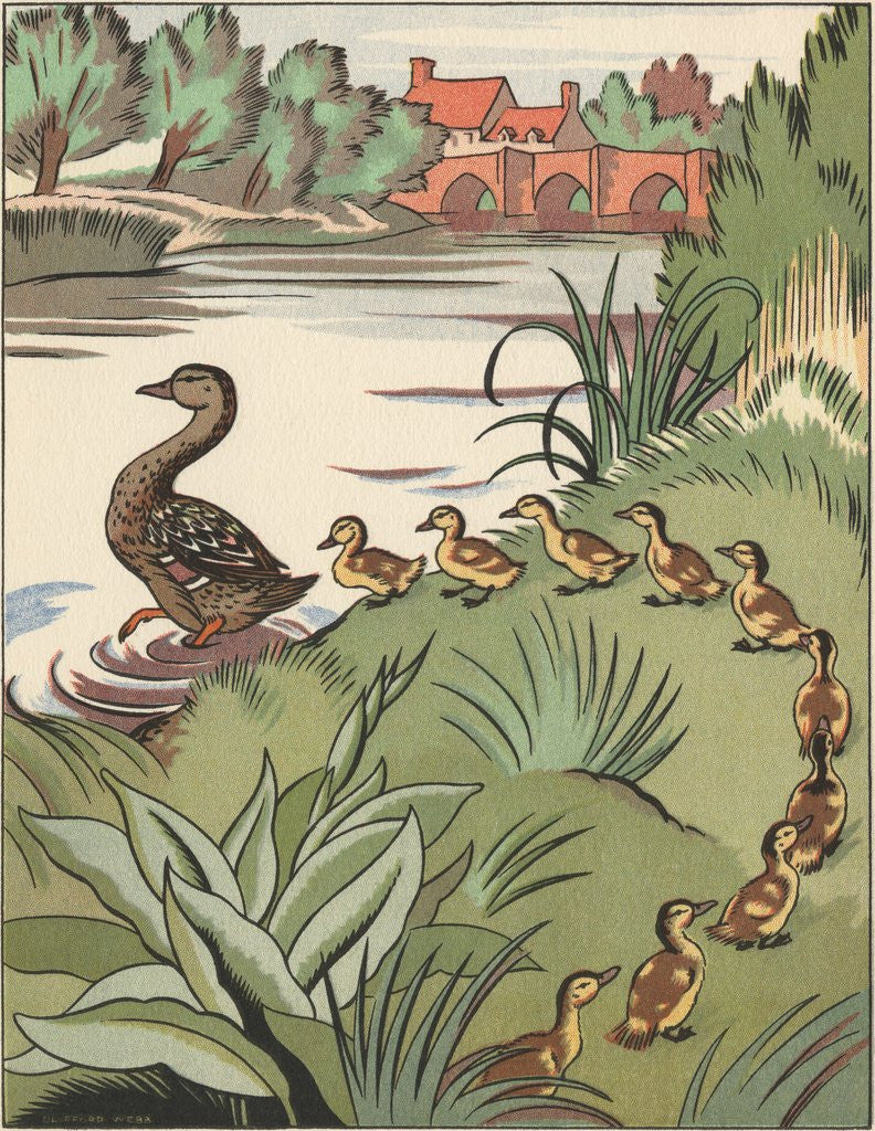 Detail of Book Illustration of Mother Duck and Ducklings by Clifford Webb