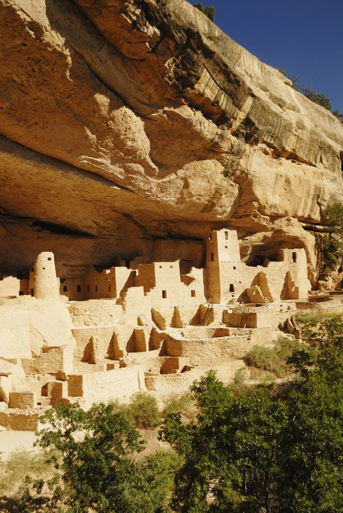 Detail of Cliff Palace in Mesa Verde National Park by Corbis