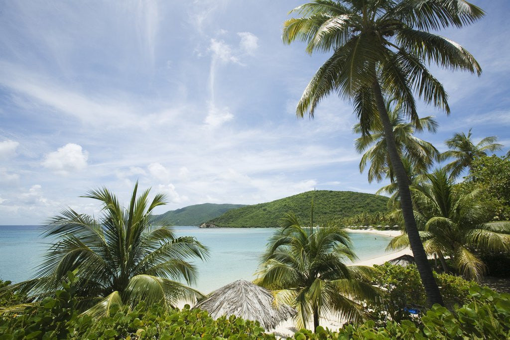 Detail of Little Dix Bay, Virgin Gorda, British Virgin Islands by Anonymous