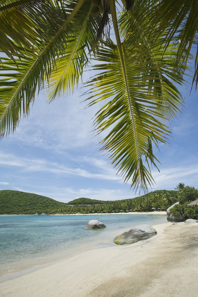 Detail of Beach at Little Dix Bay by Anonymous