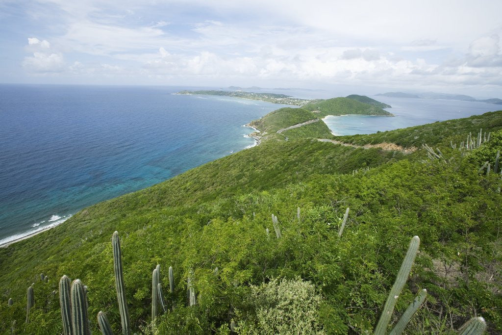 Detail of Hills and Ocean View on Virgin Gorda by Anonymous