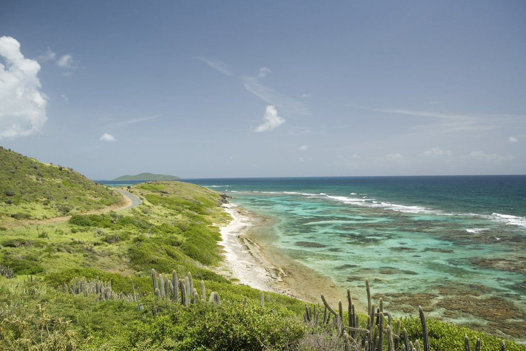 Detail of Countryside and Ocean on St. Croix by Anonymous
