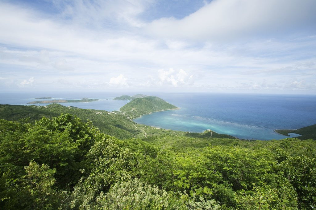 Detail of Hilltop and Ocean on Virgin Gorda by Anonymous