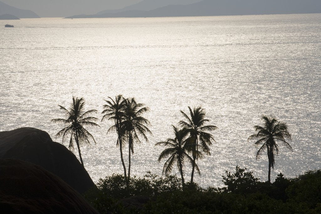 Detail of Virgin Gorda, British Virgin Islands by Anonymous