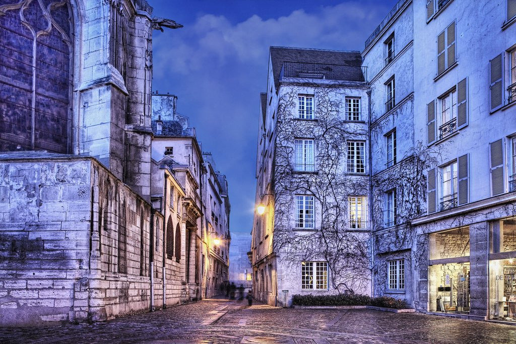 Detail of Cobblestone Street in The Marais District of Paris by Anonymous