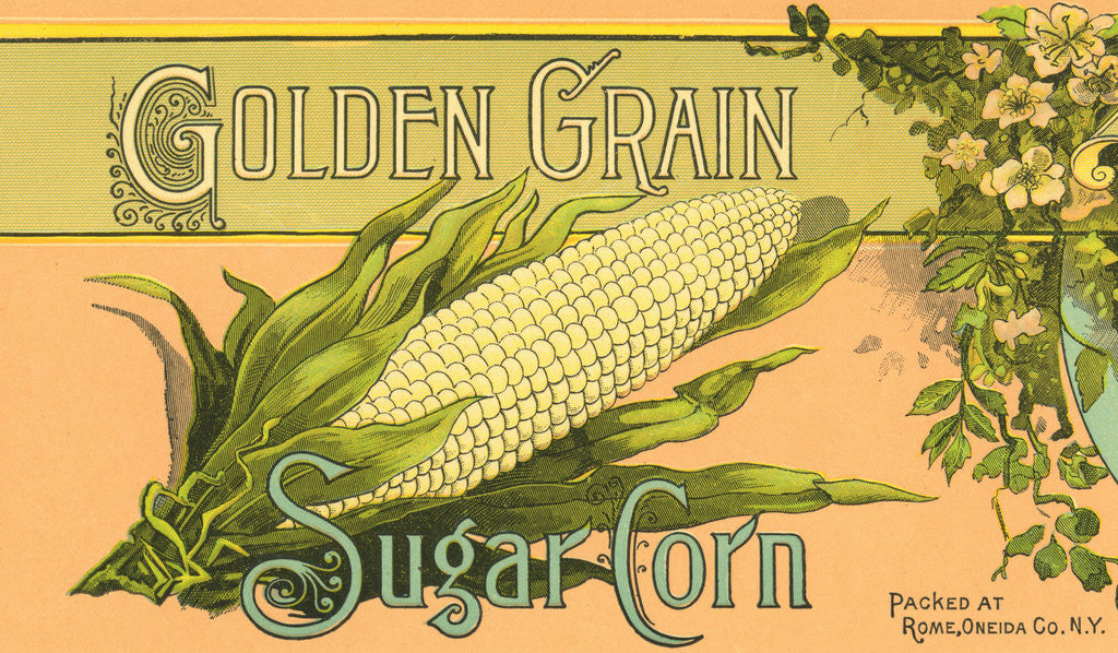 Detail of Golden Grain Sugar Corn Product Label by Anonymous