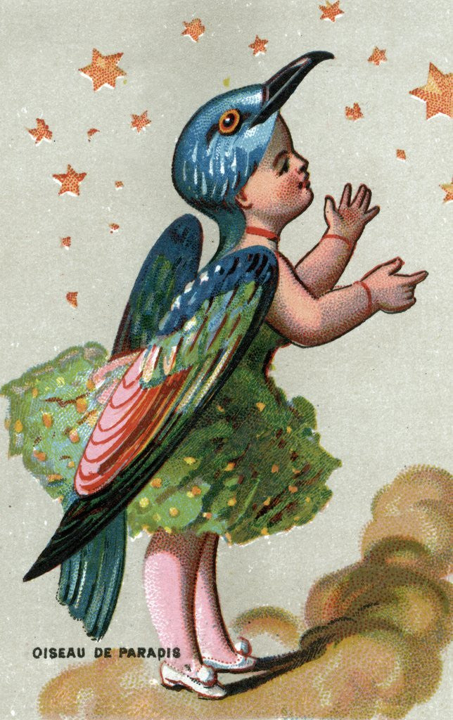 Detail of Illustration of Child Dressed in Bird of Paradise Costume by Anonymous
