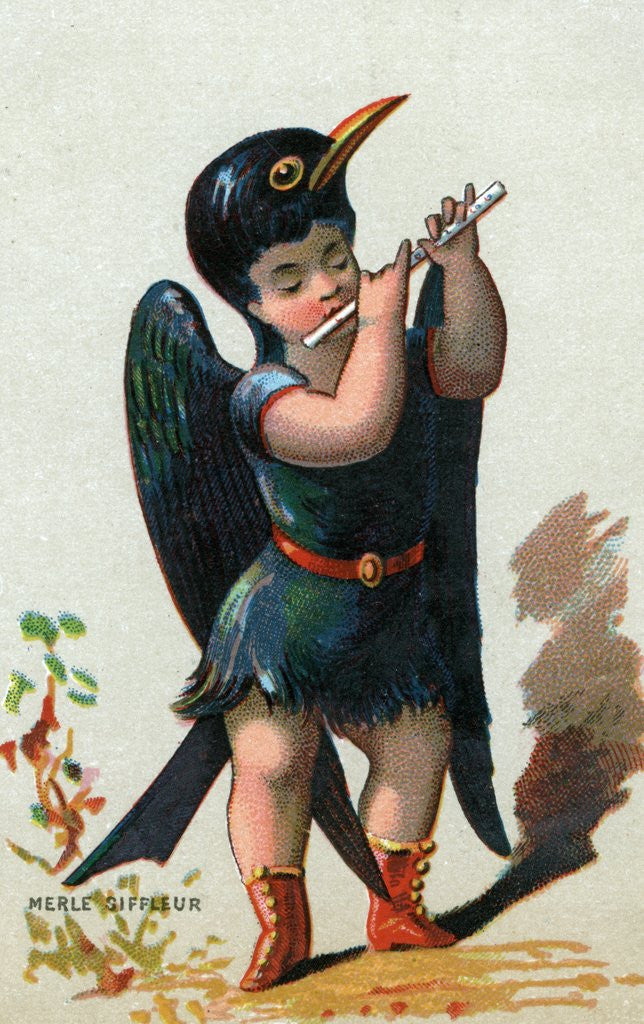 Detail of Illustration of Child Dressed in Blue Whistling Thrush Costume by Anonymous