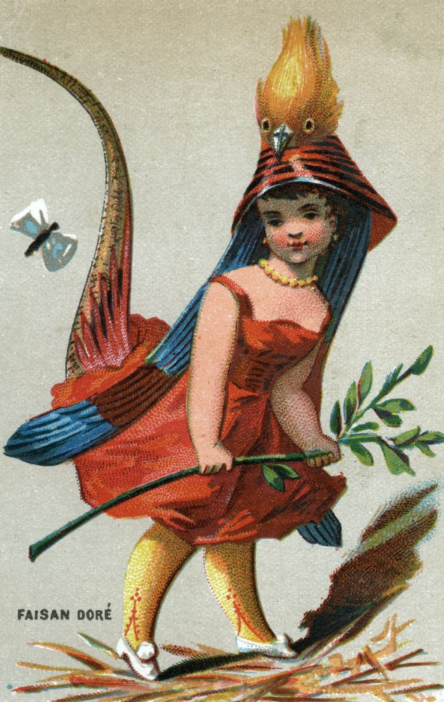 Detail of Illustration of Child Dressed in Dark-Throated Golden Pheasant Costume by Anonymous