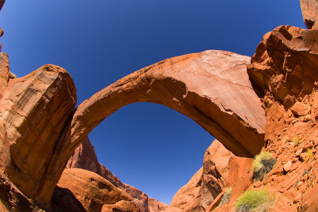 Detail of Rainbow Bridge Arch by Anonymous