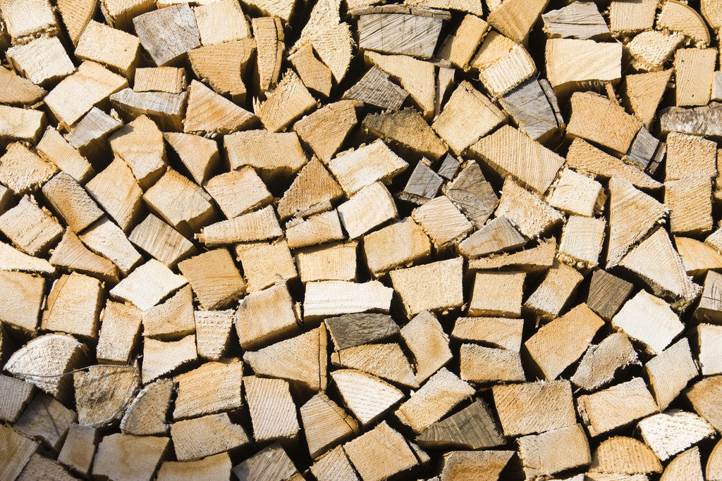 Detail of Stacked Firewood by Anonymous