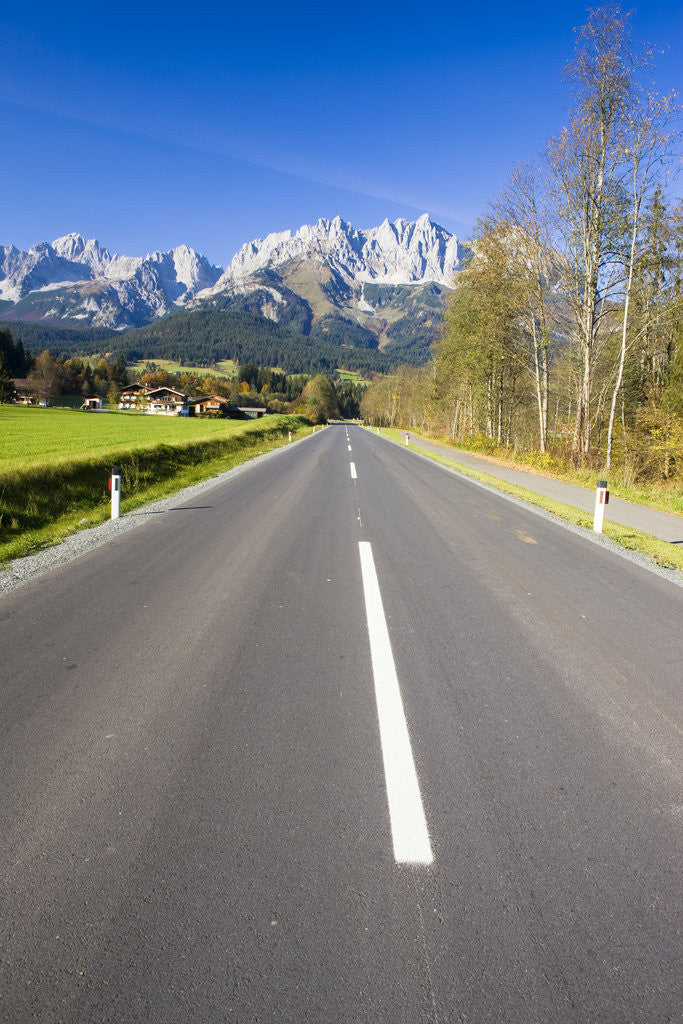 Detail of Mountain Road by Anonymous