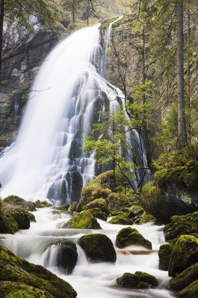 Detail of Golling Waterfall in Autumn by Anonymous