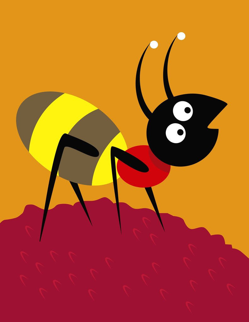 Detail of Ant by Anonymous
