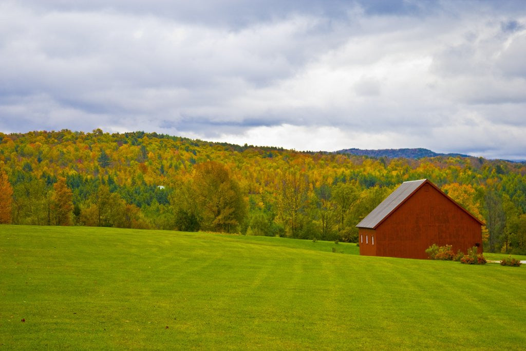 Detail of Red Barn in Green Field in Autumn by Anonymous