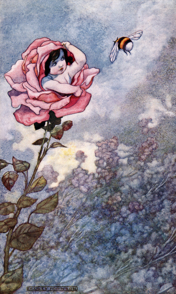 Detail of Illustration of Child Hiding in Rose by Charles Robinson