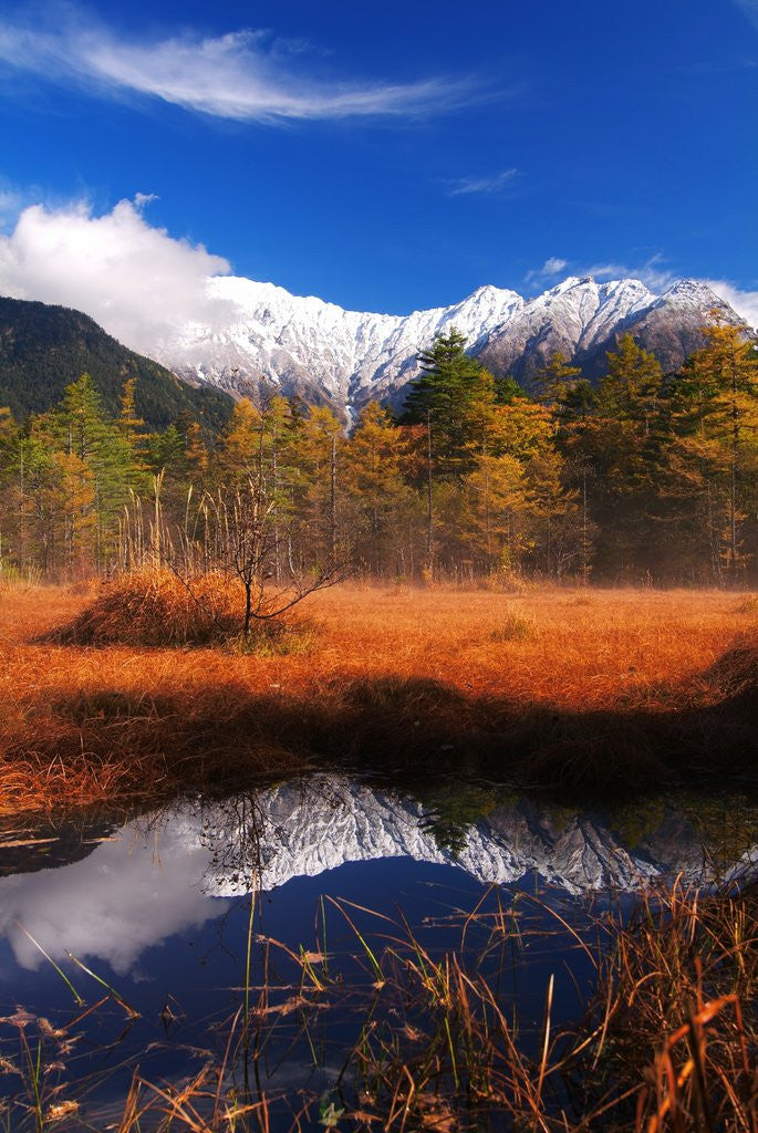 Detail of Mountains, autumn colors and lake by Anonymous