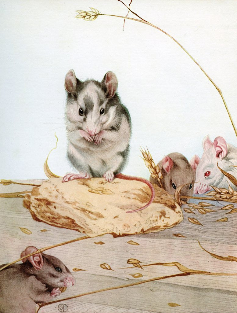 Detail of Illustration of Mice by Edward Julius Detmold