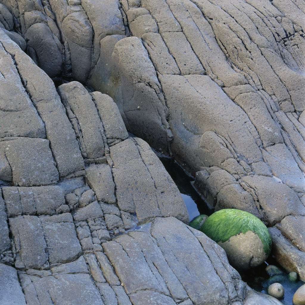 Detail of Water in a Fissure of a Stone Surface by Anonymous