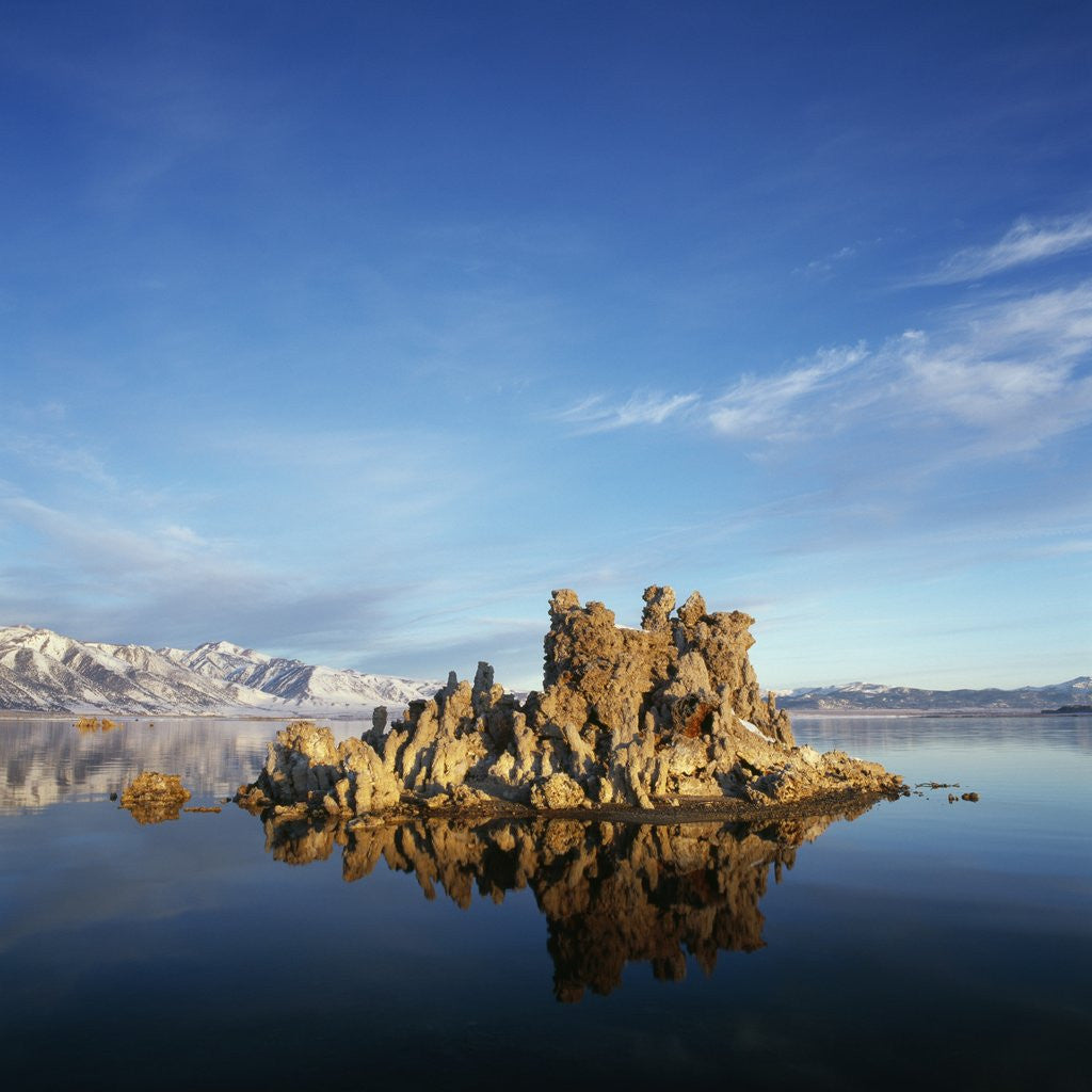 Detail of Rock Formations in Mono Lake by Anonymous