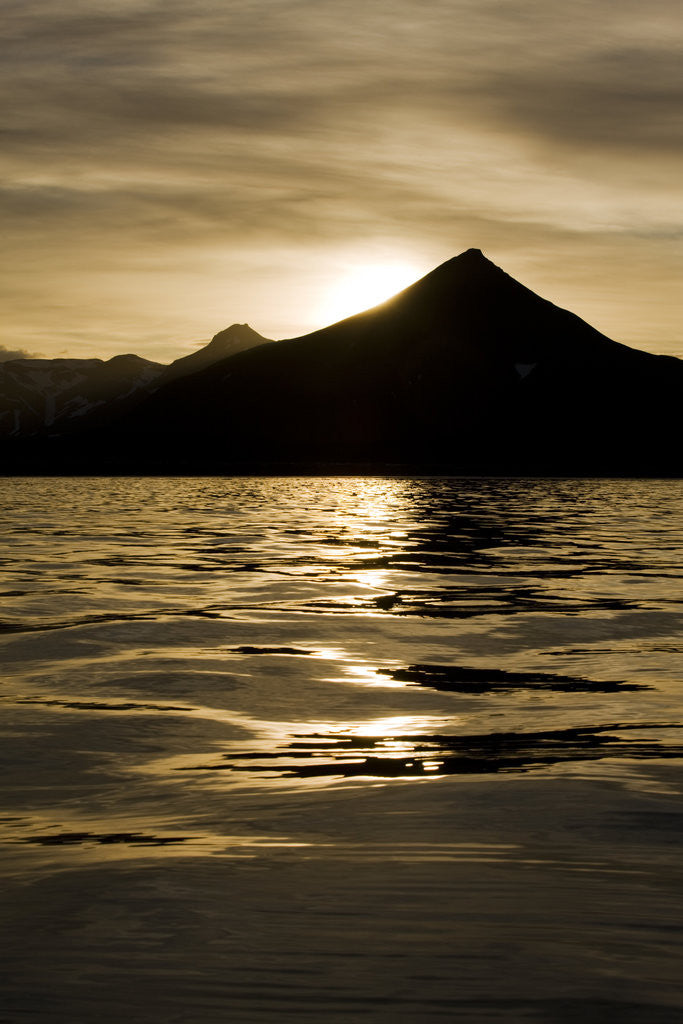 Detail of Hallo Bay at Sunset in Katmai National Park by Anonymous